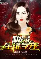 极品全能高手夏天叶清雪